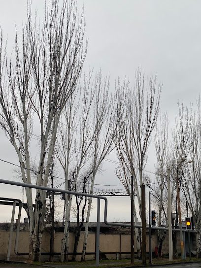 Համով խորոված — photo 1