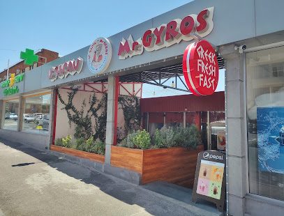 Mr. GYROS — photo 1